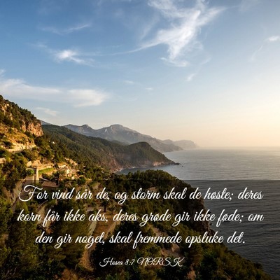 Picture 03 - Hosea 8:7 NORSK - For vind sår de, og storm skal de høste; deres - Bible Verse Picture