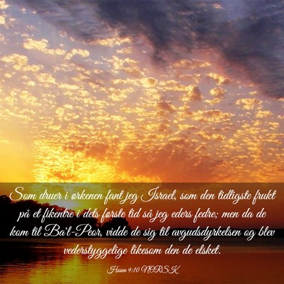 Picture 03 - Hosea 9:10 NORSK - Som druer i ørkenen fant jeg Israel, som den - Bible Verse Picture