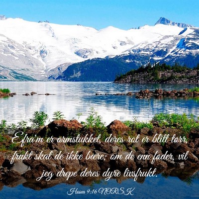 Picture 03 - Hosea 9:16 NORSK - Efra'm er ormstukket, deres rot er blitt tørr, - Bible Verse Picture
