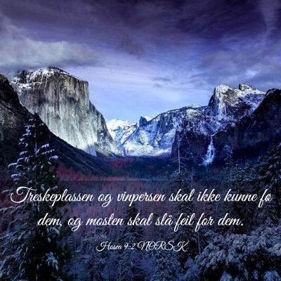 Picture 03 - Hosea 9:2 NORSK - Treskeplassen og vinpersen skal ikke kunne fø - Bible Verse Picture