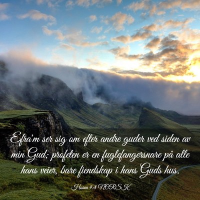 Picture 03 - Hosea 9:8 NORSK - Efra'm ser sig om efter andre guder ved siden av - Bible Verse Picture