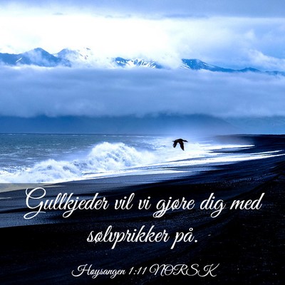 Picture 03 - Høysangen 1:11 NORSK - Gullkjeder vil vi gjøre dig med sølvprikker - Bible Verse Picture
