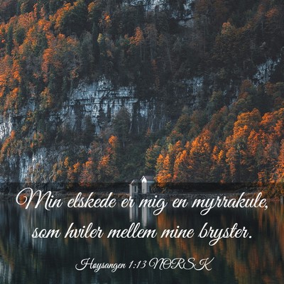 Picture 03 - Høysangen 1:13 NORSK - Min elskede er mig en myrrakule, som hviler - Bible Verse Picture