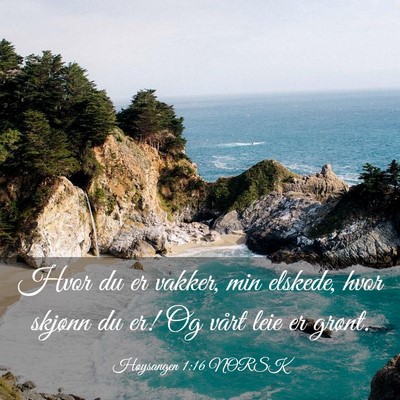 Picture 03 - Høysangen 1:16 NORSK - Hvor du er vakker, min elskede, hvor skjønn du - Bible Verse Picture