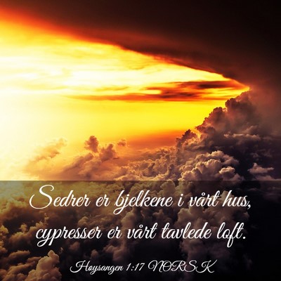 Picture 03 - Høysangen 1:17 NORSK - Sedrer er bjelkene i vårt hus, cypresser er - Bible Verse Picture