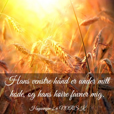 Picture 03 - Høysangen 2:6 NORSK - Hans venstre hånd er under mitt hode, og hans - Bible Verse Picture