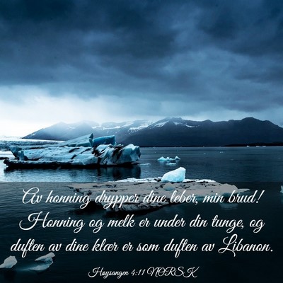 Picture 03 - Høysangen 4:11 NORSK - Av honning drypper dine leber, min brud! Honning - Bible Verse Picture
