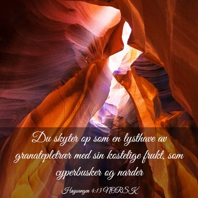 Picture 03 - Høysangen 4:13 NORSK - Du skyter op som en lysthave av granatepletrær - Bible Verse Picture