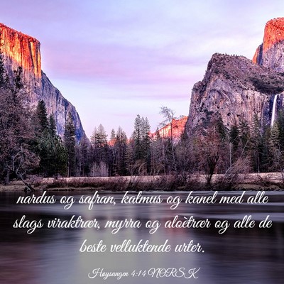 Picture 03 - Høysangen 4:14 NORSK - nardus og safran, kalmus og kanel med alle slags - Bible Verse Picture