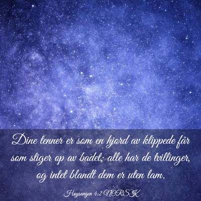 Picture 03 - Høysangen 4:2 NORSK - Dine tenner er som en hjord av klippede får som - Bible Verse Picture