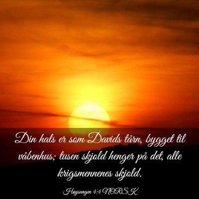 Picture 03 - Høysangen 4:4 NORSK - Din hals er som Davids tårn, bygget til - Bible Verse Picture