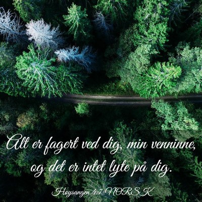 Picture 03 - Høysangen 4:7 NORSK - Alt er fagert ved dig, min venninne, og det er - Bible Verse Picture