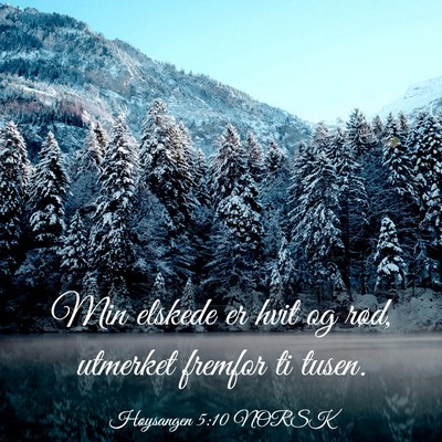 Picture 03 - Høysangen 5:10 NORSK - Min elskede er hvit og rød, utmerket fremfor ti - Bible Verse Picture