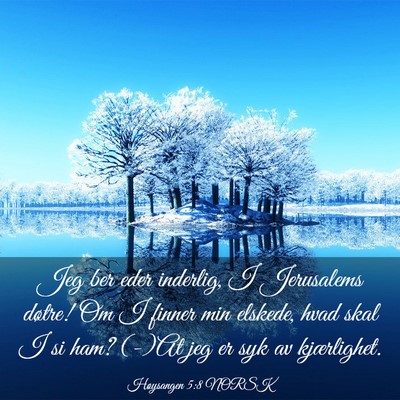 Picture 03 - Høysangen 5:8 NORSK - Jeg ber eder inderlig, I Jerusalems døtre! Om I - Bible Verse Picture