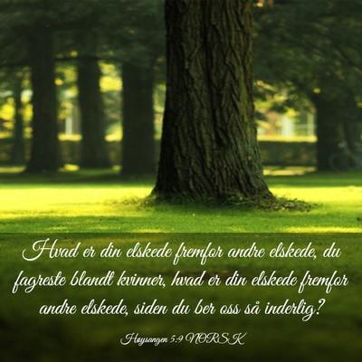Picture 03 - Høysangen 5:9 NORSK - Hvad er din elskede fremfor andre elskede, du - Bible Verse Picture