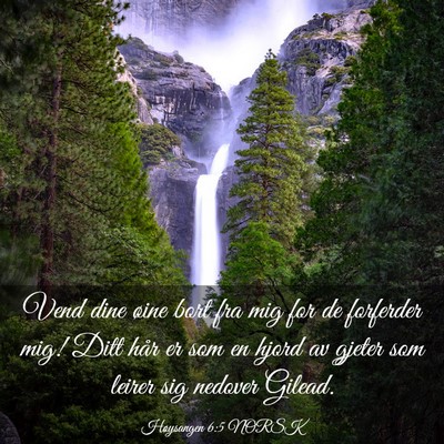 Picture 03 - Høysangen 6:5 NORSK - Vend dine øine bort fra mig for de forferder - Bible Verse Picture