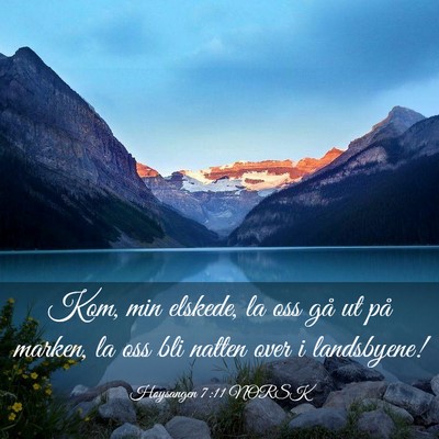 Picture 03 - Høysangen 7:11 NORSK - Kom, min elskede, la oss gå ut på marken, la - Bible Verse Picture