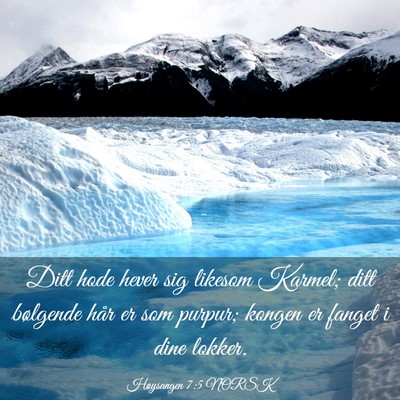 Picture 03 - Høysangen 7:5 NORSK - Ditt hode hever sig likesom Karmel; ditt - Bible Verse Picture