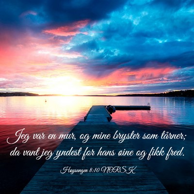 Picture 03 - Høysangen 8:10 NORSK - Jeg var en mur, og mine bryster som tårner; da - Bible Verse Picture