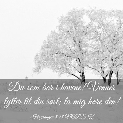 Picture 03 - Høysangen 8:13 NORSK - Du som bor i havene! Venner lytter til din røst; - Bible Verse Picture