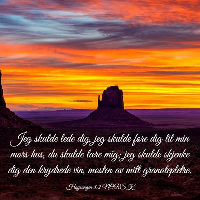 Picture 03 - Høysangen 8:2 NORSK - Jeg skulde lede dig, jeg skulde føre dig til min - Bible Verse Picture