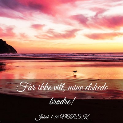 Picture 03 - Jakob 1:16 NORSK - Far ikke vill, mine elskede - Bible Verse Picture