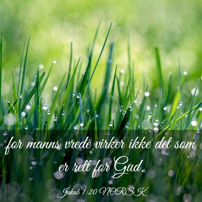 Picture 03 - Jakob 1:20 NORSK - for manns vrede virker ikke det som er rett for - Bible Verse Picture