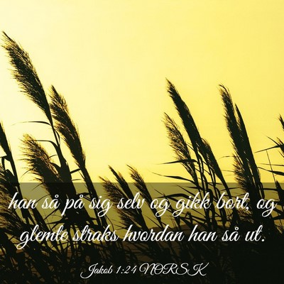Picture 03 - Jakob 1:24 NORSK - han så på sig selv og gikk bort, og glemte - Bible Verse Picture