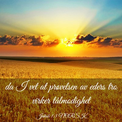 Picture 03 - Jakob 1:3 NORSK - da I vet at prøvelsen av eders tro virker - Bible Verse Picture