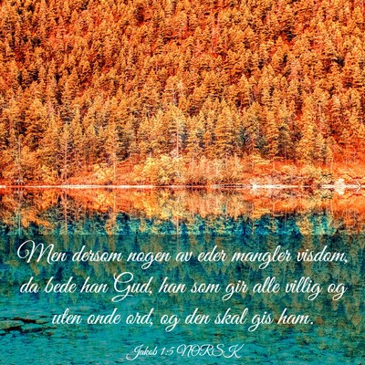 Picture 03 - Jakob 1:5 NORSK - Men dersom nogen av eder mangler visdom, da bede - Bible Verse Picture