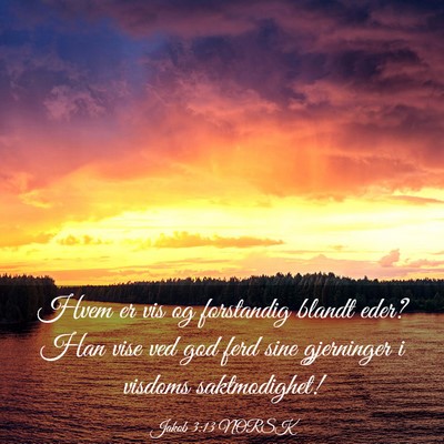 Picture 03 - Jakob 3:13 NORSK - Hvem er vis og forstandig blandt eder? Han vise - Bible Verse Picture