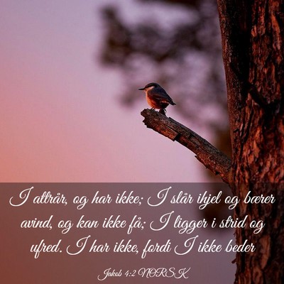 Picture 03 - Jakob 4:2 NORSK - I attrår, og har ikke; I slår ihjel og bærer - Bible Verse Picture