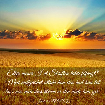 Picture 03 - Jakob 4:5 NORSK - Eller mener I at Skriften taler fåfengt? Med - Bible Verse Picture