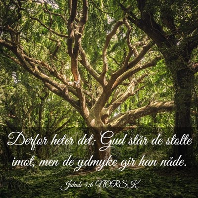 Picture 03 - Jakob 4:6 NORSK - Derfor heter det: Gud står de stolte imot, men - Bible Verse Picture