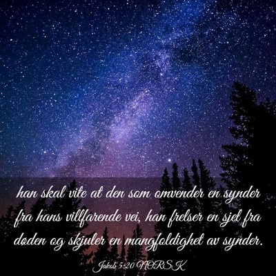 Picture 03 - Jakob 5:20 NORSK - han skal vite at den som omvender en synder fra - Bible Verse Picture