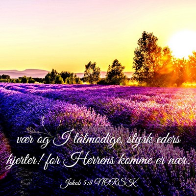 Picture 03 - Jakob 5:8 NORSK - vær og I tålmodige, styrk eders hjerter! for - Bible Verse Picture