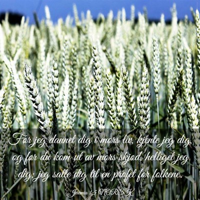 Picture 03 - Jeremia 1:5 NORSK - Før jeg dannet dig i mors liv, kjente jeg dig, - Bible Verse Picture