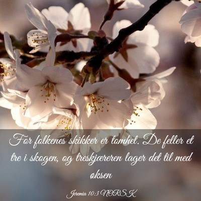 Picture 03 - Jeremia 10:3 NORSK - For folkenes skikker er tomhet. De feller et tre - Bible Verse Picture