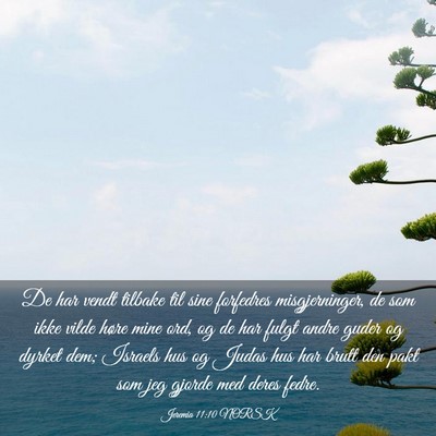 Picture 03 - Jeremia 11:10 NORSK - De har vendt tilbake til sine forfedres - Bible Verse Picture