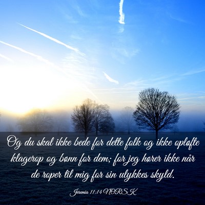 Picture 03 - Jeremia 11:14 NORSK - Og du skal ikke bede for dette folk og ikke - Bible Verse Picture