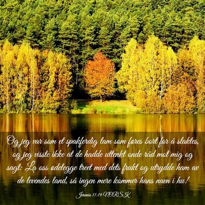 Picture 03 - Jeremia 11:19 NORSK - Og jeg var som et spakferdig lam som føres bort - Bible Verse Picture
