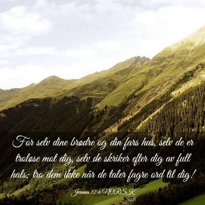 Picture 03 - Jeremia 12:6 NORSK - For selv dine brødre og din fars hus, selv de er - Bible Verse Picture