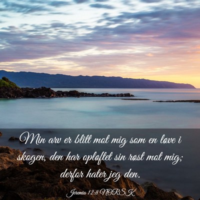 Picture 03 - Jeremia 12:8 NORSK - Min arv er blitt mot mig som en løve i skogen, - Bible Verse Picture