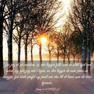 Picture 03 - Jeremia 14:18 NORSK - Går jeg ut på marken, se, der ligger folk som - Bible Verse Picture