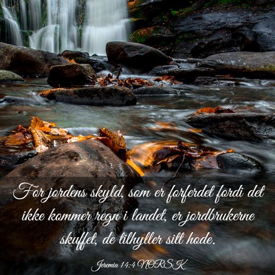 Picture 03 - Jeremia 14:4 NORSK - For jordens skyld, som er forferdet fordi det - Bible Verse Picture