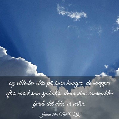 Picture 03 - Jeremia 14:6 NORSK - og villesler står på bare hauger, de snapper - Bible Verse Picture