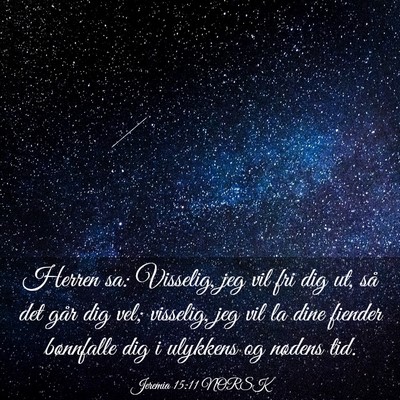 Picture 03 - Jeremia 15:11 NORSK - Herren sa: Visselig, jeg vil fri dig ut, så det - Bible Verse Picture