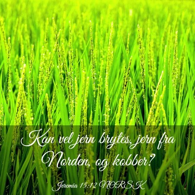 Picture 03 - Jeremia 15:12 NORSK - Kan vel jern brytes, jern fra Norden, og - Bible Verse Picture