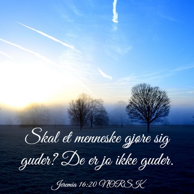 Picture 03 - Jeremia 16:20 NORSK - Skal et menneske gjøre sig guder? De er jo ikke - Bible Verse Picture