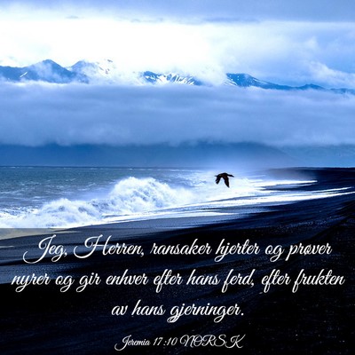 Picture 03 - Jeremia 17:10 NORSK - Jeg, Herren, ransaker hjerter og prøver nyrer og - Bible Verse Picture